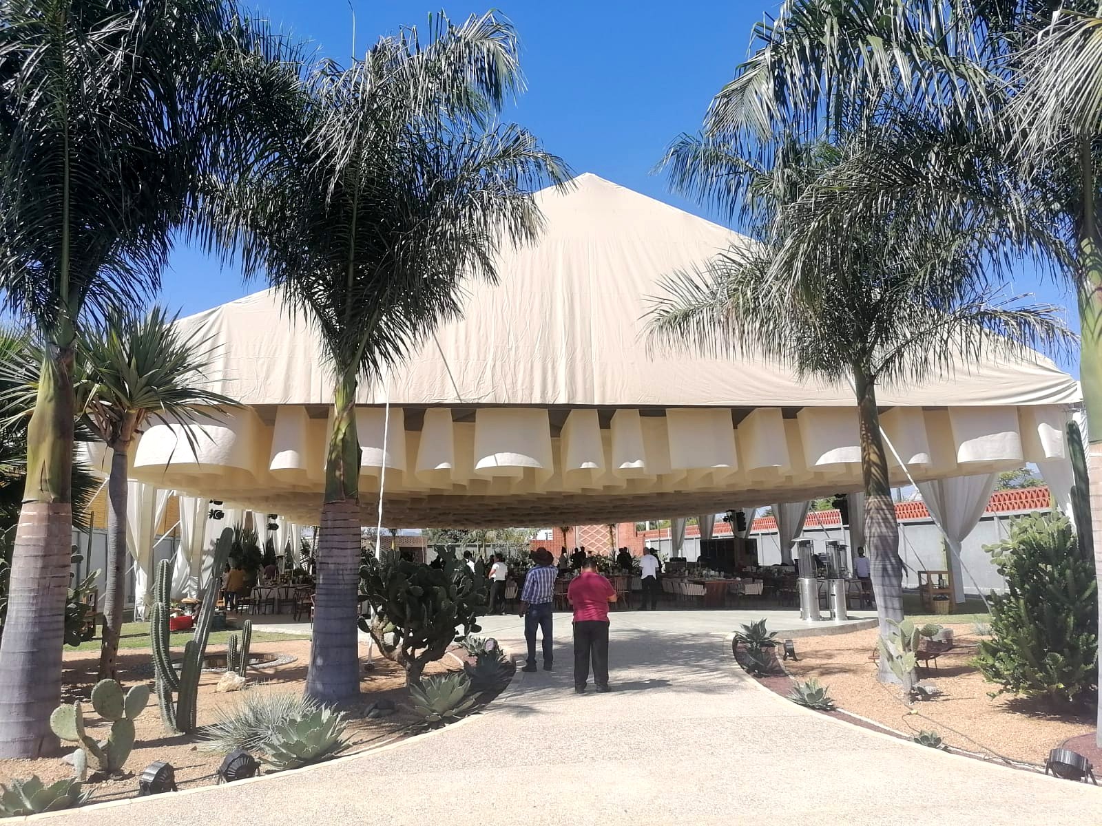 Carpa exterior con palmeras lista para evento social en Oaxaca